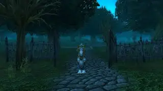 LegionPaladin - Zone 11 - Morbent Fel - Duskwood Part 6