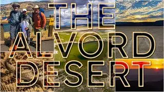 Field Herping SE Oregon: The Alvord Desert
