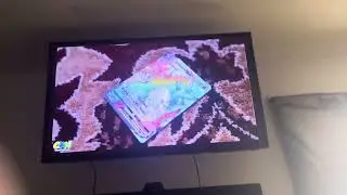 He got the Charizard, the rainbow Charizard Vmax
