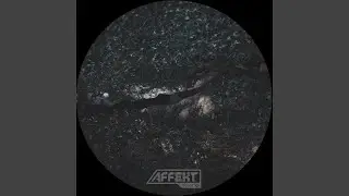 Meta Reference (Original)