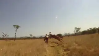 Mountain Biker Attacked By Antelope