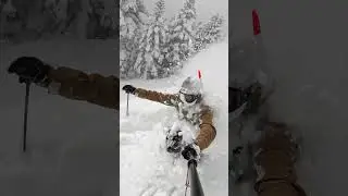 Deepest Powder Skiing Ever? 🎬 Hoshino Motoki #Shorts #Ski