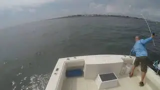 Fluking in Jones Inlet 2020
