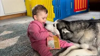 Daisy LOVES Feeding & Talking To Lola!🥹. She Is So Gentle!!
