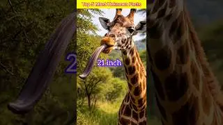 These Animal Facts Will Blow Your Mind 🤯🦁#shorts