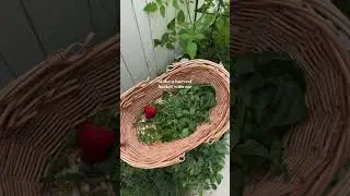 Harvest basket for Father&rsquo;s Day🧺