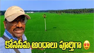 Complete Beauty of Godavari River 🌊 | Konaseema Paradise | Andhra Pradesh Travel Vlog 2026