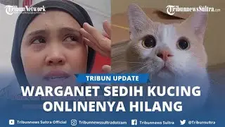 Viral Pororo Seleb Kucing Warganet Dikabarkan Hilang Oleh Sang Pemilik, Warganet Ikutan Sedih