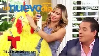 El Chef James prepara pollo en crema | Un Nuevo D&iacute;a | Telemundo