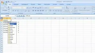 Excel 2007 - Dateinamen in ein Tabellenblatt einf&uuml;gen