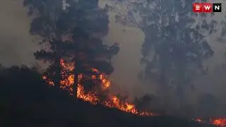 Knysna fires of 2017