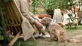 Dog Trainer Bible - dog training - dog training videos #buylink