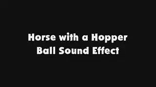 Horse with a Hopper Ball SFX