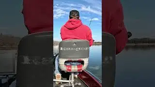 Catching THAT Fish: An Epic Fishing Adventure! #shorts