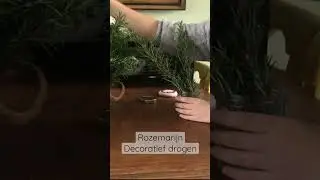ROZEMARIJN CREATIEF DROGEN | Kruiden Moestuin 😍#moestuin #short