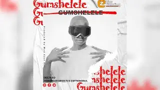Skelta Ryhms - Gumshelele (Official Audio)