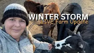 Winter Storm Fern LIVE: Are You Staying Safe? ~ Animal & Homestead Check-In ❄️