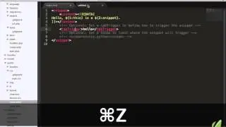 Sublime Text 2 tutorial part 11: Your First Snippet
