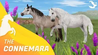 AKTUALIZOWANY Connemara! ✨ | Star Stable Horses