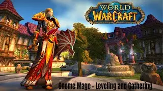Turtle WoW - GNOME MAGE LEVELING (with the boys)