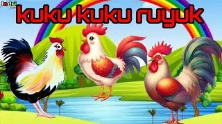 Kuku kuku ruyuk lagu anak Indonesia ter populer
