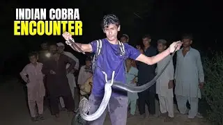 Indian Cobra Rescue  | Dangerous Wildlife Encounter