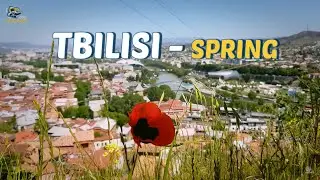 Spring in Tbilisi 4K. Tours to Georgia  - Caucasus.COOL. Весна в Тбилиси. Эксурсии с гидом в Грузии
