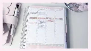 Erin Condren 7x9 Hourly Plan With Me | Harmony Neutral | Ana Jolene