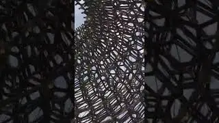 The Hive, Kew Gardens