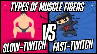 Fast-Twitch vs Slow-Twitch: How to Train EVERY Muscle for MAX Growth