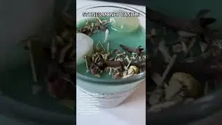 Stone money candle Quick money green candle with herb specifically chosen to attract financial