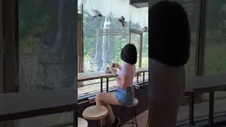 Found the best waterfall view at this cafe with great coffee and chocolate brownie without queue!