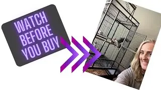 Best Bird Cage for Parrots? See This One in Action