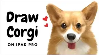How to Draw Corgi on iPad Pro 🎨  Drawing Tutorial | Procreate Brushes | Digital Speed painting