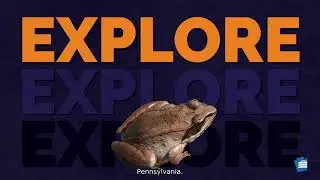 Explore! Vernal Pools