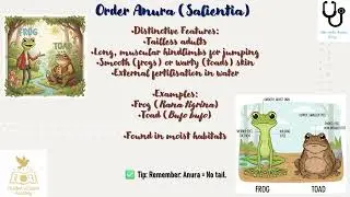 Classification of Amphibia | Orders Anura, Urodela & Apoda | NEET 2026 & Class 11 Biology | Ep 68
