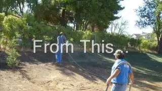 Typical Hydromulching