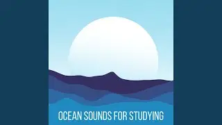 Sea Spray Study Session