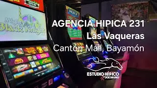 ESTUDIO HIPICO - S&aacute;bado 10 De Enero De 2026