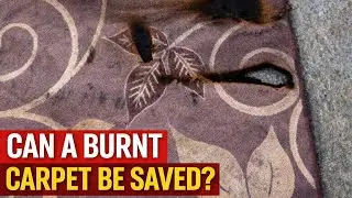 Extreme Burnt Carpet Cleaning | ASMR #carpetcleaning 