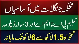 Punjab Forest Department Jobs 2025 Urgent | Architect, Engineer, Draftsman