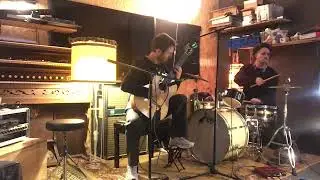Schreel Van De Velde - Bitterns are birds (live)