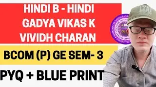 Hindi B Bcom sem 3 Hindi vikas k vividh Charan GE DU SOL Exam Pattern Previous Year Paper 