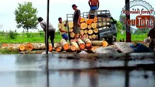 INDONESIAN BANDSAW,,,the process of unloading and measuring the SHORT wood before cutting