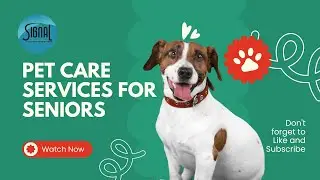 Pet Care Services for Seniors || Signal Health Group