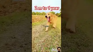 2 m to 1 year #youtubevideo #youtubeshorts #shortvideo #shorts #viralvideo #viralshorts #trending