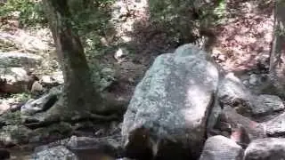 081315 GEE CREEK FALLS, STARR MOUNTAIN