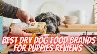Best Dry Dog Food Brands For Puppies Reviews 2022