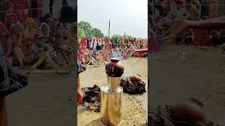 Anekpur Varanasi Pooja Ram naresh bhakt🌴Anekpur village karaha Naresh baba#Anekapue #ramnaresh #puja