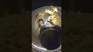 DEMACO Short Goods Pasta Production Highlights